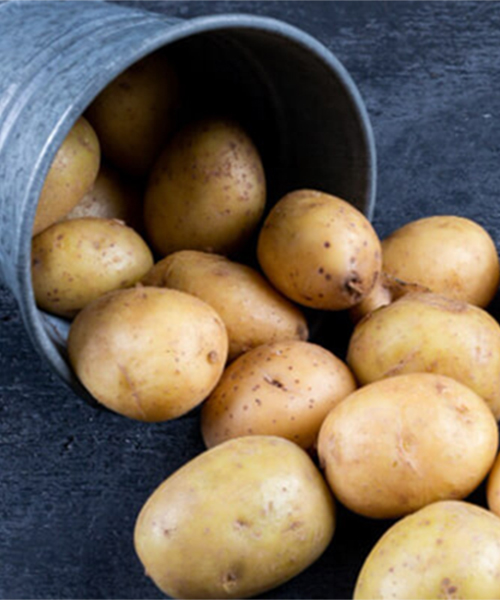 The Growing Demand for Fresh Vegetables